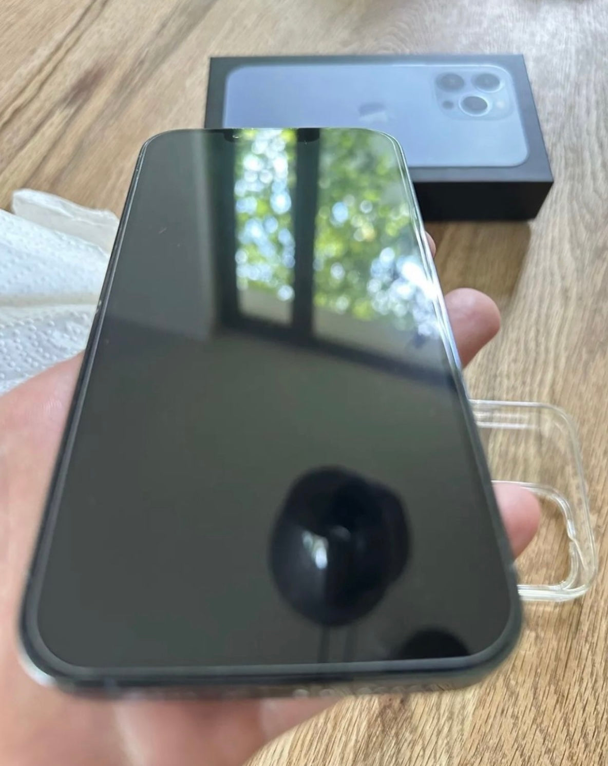 iPhone 13 Pro (256GB)
